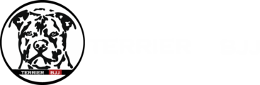 TerrierBJJ