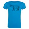AWDis Ladies Cool T-Shirt Thumbnail