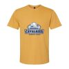 Gildan SoftStyle® Midweight T-Shirt Thumbnail