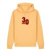 Unisex Cruiser 2.0 iconic hoodie sweatshirt (STSU177) Thumbnail